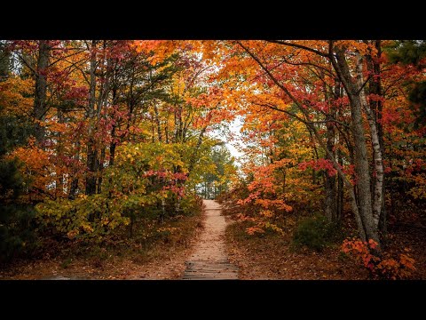 Видео: СТОИТ ЛИ ИСКАТЬ НОВУЮ РАБОТУ?☝️☝️☝️
