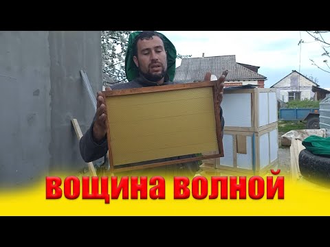 Видео: Пчелы не тянут вощину. Порча пчелами вощины. Почему проседает вощина на рамках. Вощина идет волной.