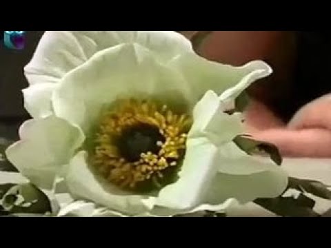 Видео: Делаем цветок белого мака из фоамирана (пористая резина). Мастер класс. Наташа Фохтина
