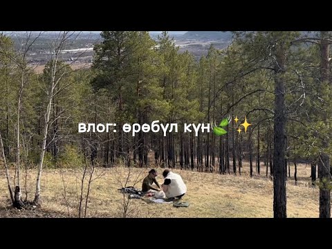 Видео: Өрөбүл күн | Мыраанңа сынньалаң☺️🫶🏼✨