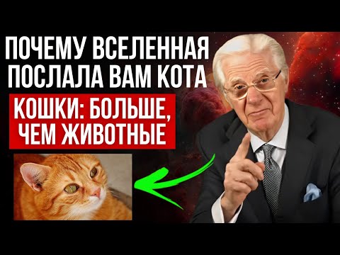 Видео: 😺КОШКИ – НЕ ПРОСТО ЖИВОТНЫЕ: РАСКРОЙТЕ СЕКРЕТ ИХ ПРИСУТСТВИЯ - ЗАКОН ПРИТЯЖЕНИЯ