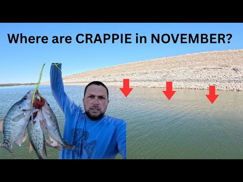 Видео: Как НАЙТИ и ПОЙМАТЬ краппи в НОЯБРЕ! Советы и хитрости!