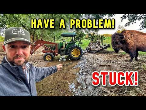 Видео: Мы убедились на собственном горьком опыте! Придётся что-то делать!