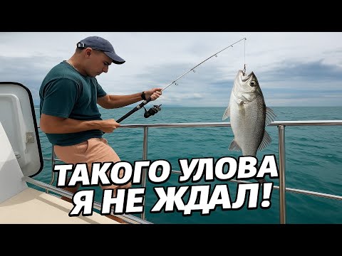 Видео: Морская рыбалка 🎣 в Сочи — первый раз и сразу трофей! 🐟