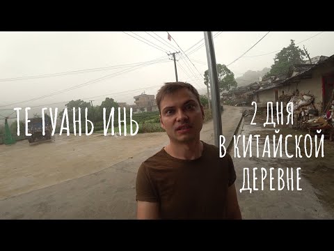 Видео: Те Гуань Инь - "В погоне за чаем" (весна 2018, Сянхуа)