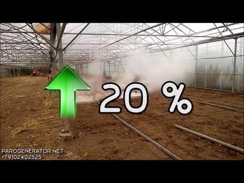 Видео: №1 Дезинфекция почвы, стерилизация почвы паром для выращивания эустомы (лизиантуса)