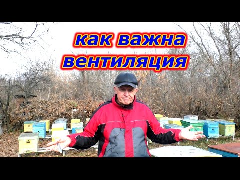 Видео: Как устроить вентиляцию улья для зимы.