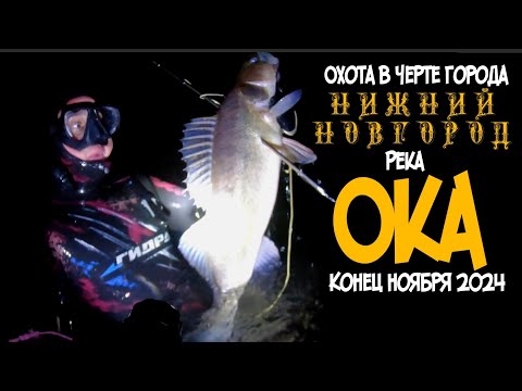 Видео: Подводная ОХОТА на реке ОКА. В черте города НИЖНИЙ НОВГОРОД. Конец ноября 2024 год