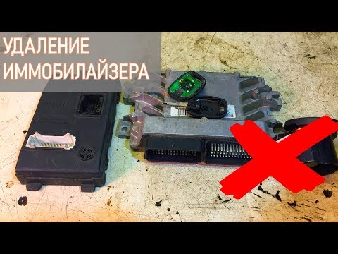Видео: УДАЛЕНИЕ ИММОБИЛАЙЗЕРА С МОЗГОВ МАШИНЫ. ПРОШИВКА NoImmo. ПОЧЕМУ НЕ ЗАВОДИТСЯ МАШИНА? | #Видеолекция
