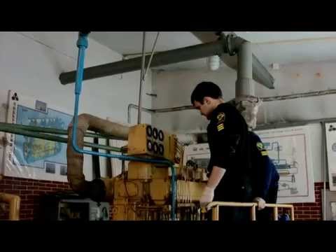 Видео: Калининградский морской рыбопромышленный колледж