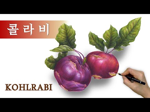 Видео: [Рисуем овощи] Превращаем кольраби в произведение искусства | Рисунок цветным карандашом