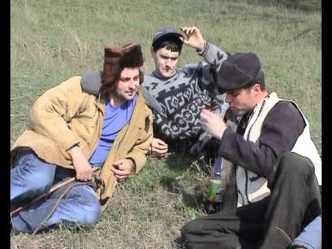 Видео: Троенски коне видеоконкурс