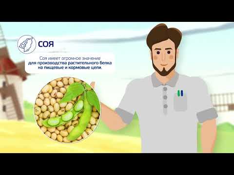 Видео: Удобрения для сои - УралХим