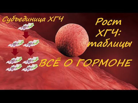 Видео: ХГЧ: когда сдавать?//Рост уровня ХГЧ по дням//Таблицы