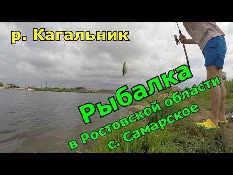 Видео: #ПроРЫБАЛКУ - Рыбалка в Ростовской области. Река Кагальник. Село Самарское.