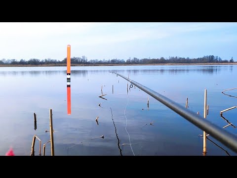 Видео: Первая весенняя ПЛОТВА на ПОПЛАВОК! РЫБАЛКА 2025!!!