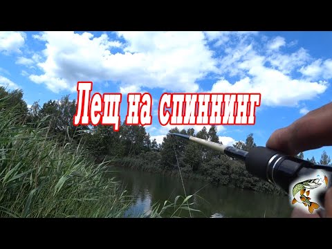 Видео: Шел за щукой, поймал леща