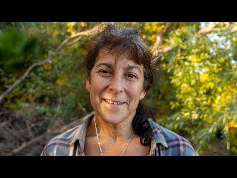 Видео: Бездомную женщину из Лос-Анджелеса выселяют из ее палатки, и ей некуда идти