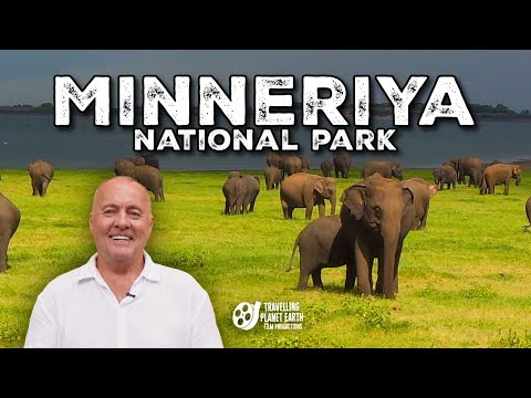 Видео: Почему Каудулла и Миннерия — лучшие места для наблюдения за слонами