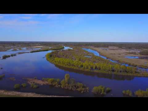 Видео: Вязники- Мстёра(Видео с воздуха)