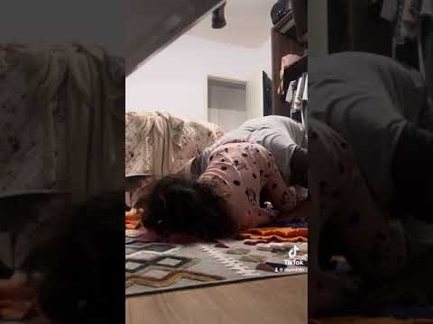 Видео: 17 декабря 2023 г.