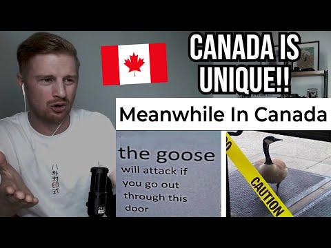 Видео: Реакция на мемы о канадцах