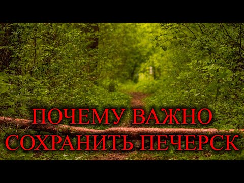 Видео: ПОЧЕМУ ЭТОТ ЗАКАЗНИК ТАК ВАЖЕН ДЛЯ ГОРОДА? / ПЕЧЕРСКИЙ ЗАКАЗНИК - 27 МИНУТ ЗВУКОВ ПРИРОДЫ