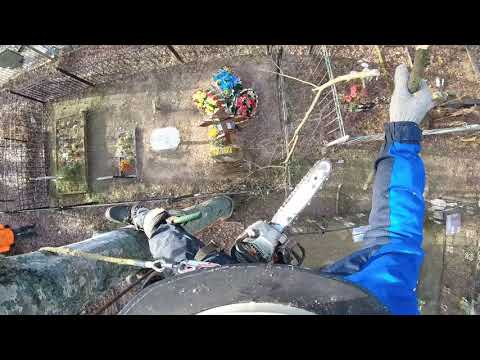 Видео: Что бы спилить дерево на кладбище нужно действовать осторожно Работа арбориста от первого лица