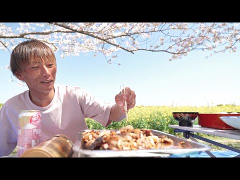 Видео: Праздник рыбацкой семьи под сакурой: сашими и жареный кальмар