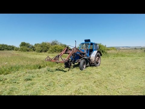 Видео: Сенокос 2024