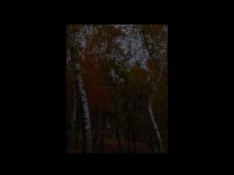 Видео: | Черниковская Хата - Нажми на Кнопку | SLOWED |