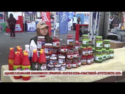 Видео: ВЕЧЕРНИЕ НОВОСТИ // 24 10 2025