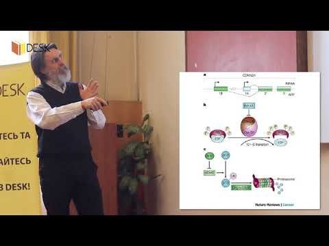 Видео: DESK Гемобластози 2