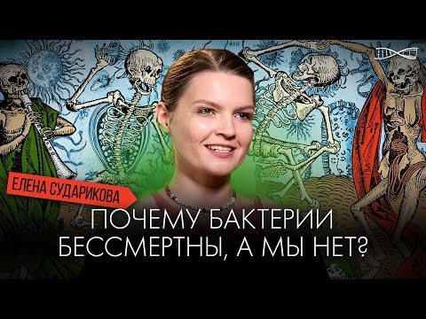 Видео: Почему бактерии бессмертны, а мы нет? Лекция антрополога Елены Судариковой