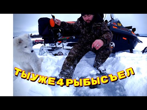 Видео: За окунем на рыбалку/КАЮР в теме/Рыбалка в лунке#Сезон2023