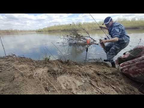 Видео: Ловля Голавля на корочку хлеба.