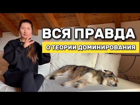 Видео: Существует ли теория доминирования? Надо ли следовать ее правилам и что будет, если этого не делать?