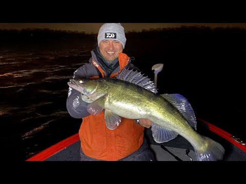 Видео: Большому СУДАКУ - Большой Силикон. Ночная ловля судака осенью.