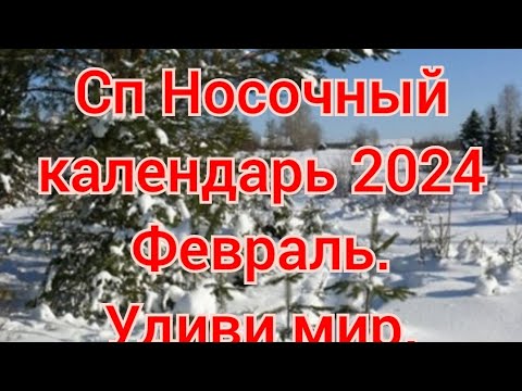 Видео: Сп "Носочный календарь 2024"Февраль."Удиви мир" участник 48 #вязание