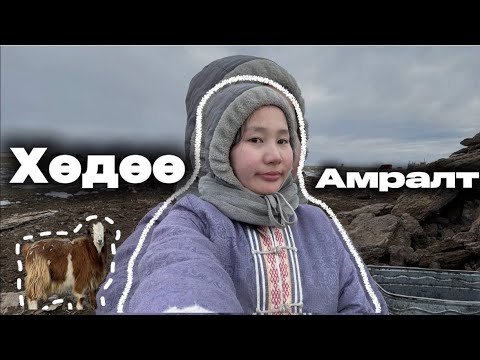 Видео: НЭРГҮЙ БИЧЛЭГ🙉