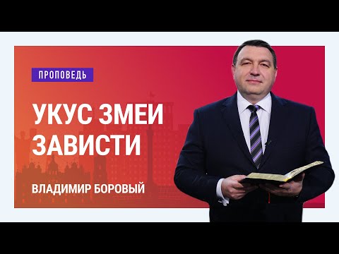 Видео: Укус змеи Зависти. Владимир Боровый | Проповеди