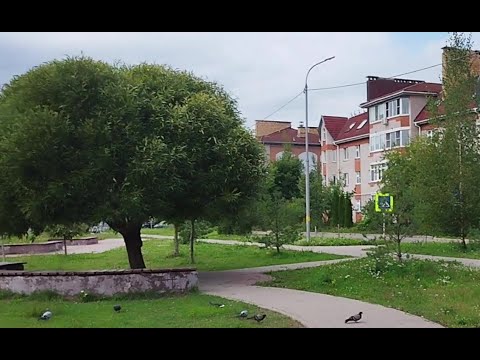 Видео: Кошки и манная каша/Аптека/Вечер у фонтана/Готовлю кабачки/Жизнь на пенсии