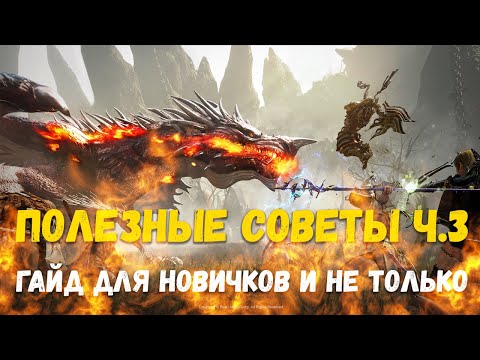 Видео: БДО BDO 2023 полезные советы. Гайд для новичков и не только. Боссы, Петы, горничные, узлы, энергия.