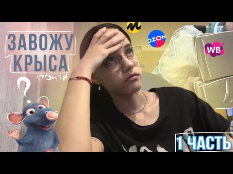 Видео: ✧ Готовлюсь к появлению крысы | часть 1 ✧