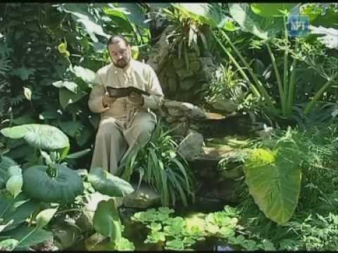 Видео: сад божественных песен, псалом 96