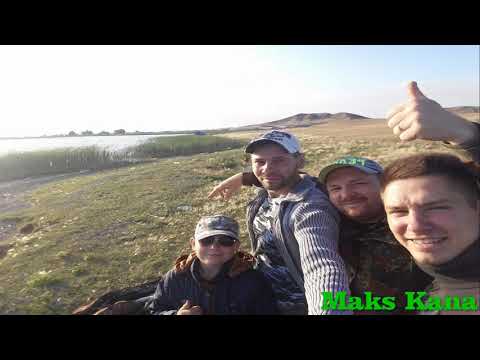 Видео: Ботакара. Карась в августе