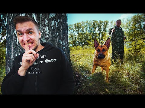 Видео: НАЙДЕТ ЛИ СОБАКА ЧЕЛОВЕКА В ЛЕСУ?