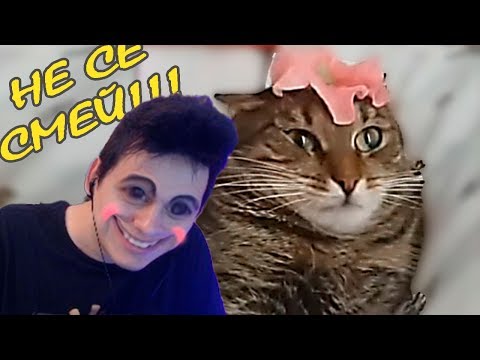 Видео: Try Not To Laugh Challenge - НЕ СЕ СМЕЙ #5