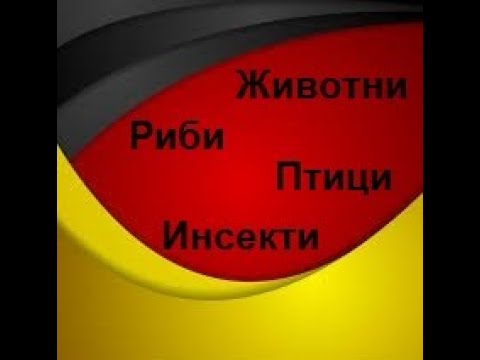 Видео: Животни,инсекти,птици и риби(Ниво-А1,Предавање 12)