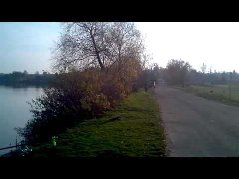 Видео: Рыбалка с.Конюхи, Локачинський р-н Волинська обл..Ставок.